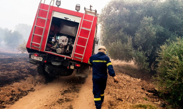 Φωτιά στην Εύβοια: Καλύτερη εικόνα σε Ψαχνά και Αρτάκη