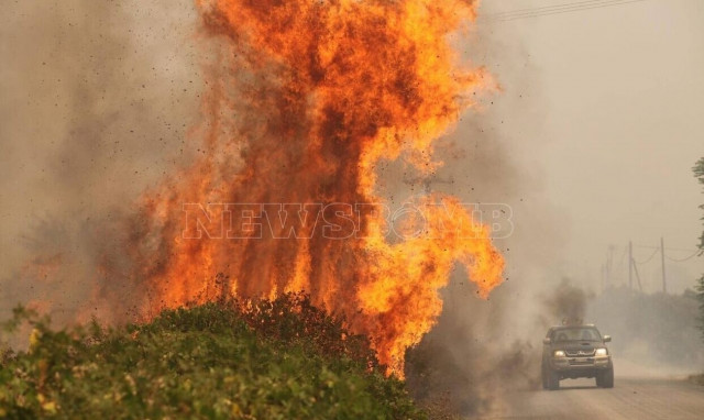 Μήνυμα από την Κομισιόν για τις φωτιές: «Ελλάδα δεν είσαι μόνη σου»