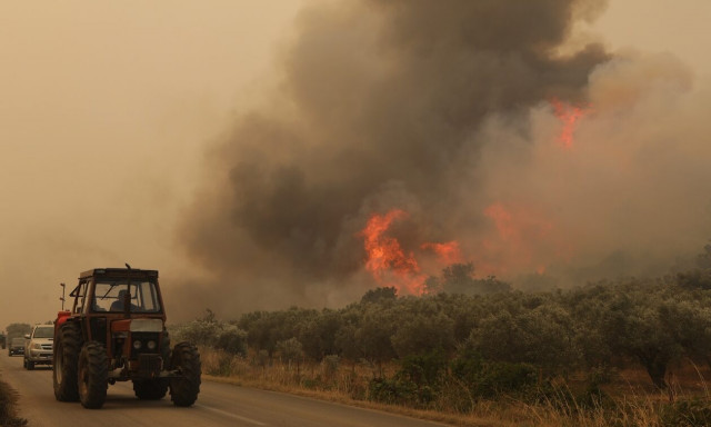 Φωτιά στην Αλεξανδρούπολη: Το μέτωπο της φωτιάς επεκτείνεται σε 60 χιλιόμετρα