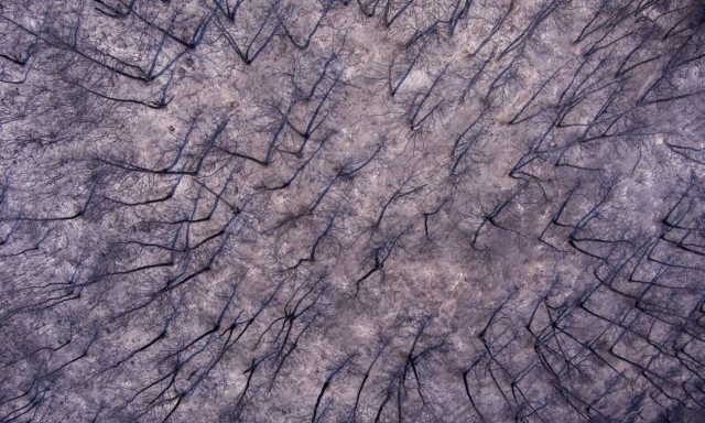 Φωτιά στην Αλεξανδρούπολη: Θλίψη προκαλούν οι φωτογραφίες από drone - Μαίνονται τα μέτωπα στον Έβρο