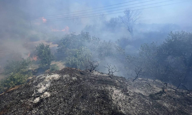 Συναγερμός στο Ηράκλειο: Μεγάλη κινητοποίηση για φωτιά στο Ασήμι