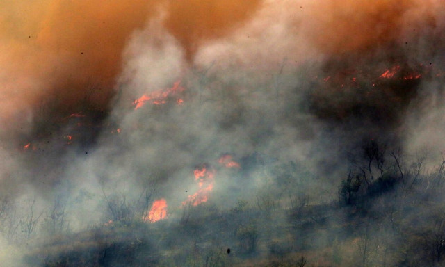 Νύχτα αγωνίας στον Έβρο – Μάχη για να μην περάσει η φωτιά την Εγνατία Οδό