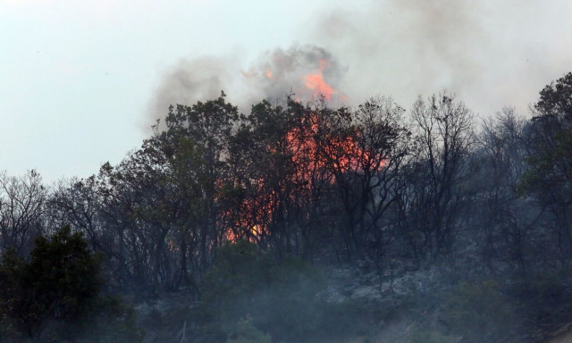 Φωτιές: Υπό έλεγχο τα μέτωπα σε Σαμοθράκη και Πολύγυρο Χαλκιδικής