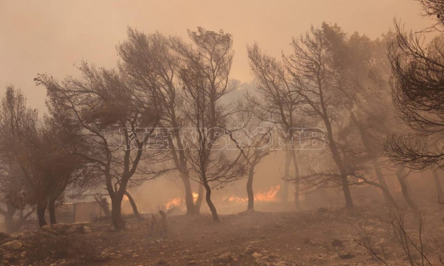 Εθνικό Αστεροσκοπείο Αθηνών: Πάνω από 400.000 στρέμματα καμένα τις τελευταίες 3 ημέρες