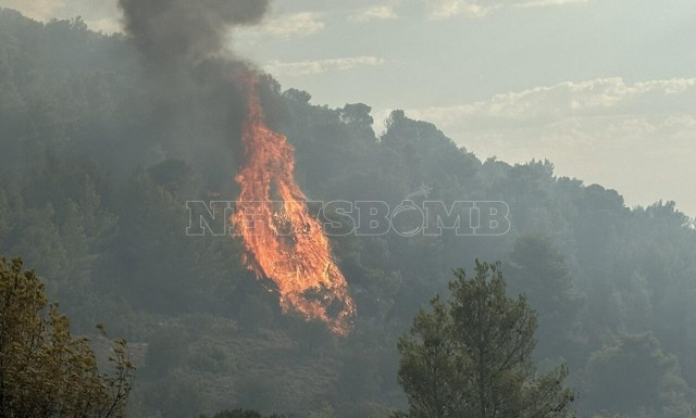 Φωτιά στην Πάρνηθα: Κρίσιμες ώρες για τον εθνικό δρυμό - Κοντά στα σπίτια οι φλόγες