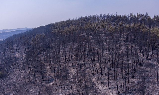 Copernicus: Ενεργοποιήθηκε για Φυλή, Ασπρόπυργο, Αχαρνές και περιοχές των δήμων Κομοτηνής