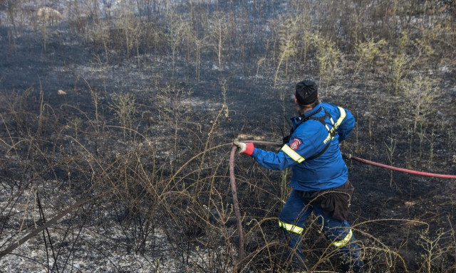 Φωτιά στο Ασπροχώρι Αυλώνας: Αντιμετωπίστηκε άμεσα από την Πυροσβεστική