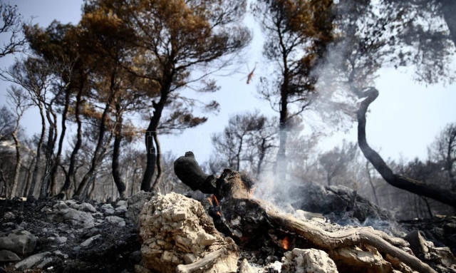 Φωτιά στην Πάρνηθα: Καλύτερη η εικόνα από το μέτωπο - Το Newsbomb.gr στην επιχείρηση κατάσβεσης