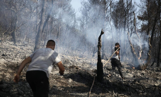 Φωτιά στην Πάρνηθα: Ξεσπάει ο αντιδήμαρχος Αχαρνών - «Δεν πάει άλλο έχει καεί όλη η χώρα»