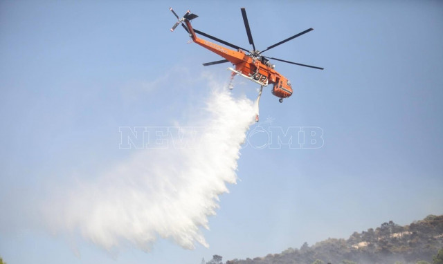 «Ανά τέταρτο και μία φωτιά στον Αυλώνα, ήταν καθαρός εμπρησμός»