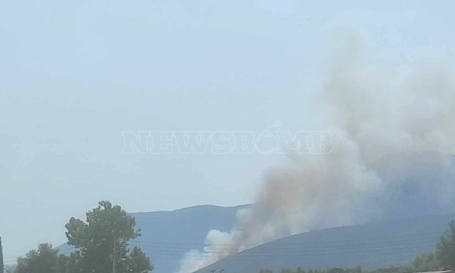 Φωτιά στον Αυλώνα: Ενισχύονται οι δυνάμεις - Καίγεται παρθένο δάσος