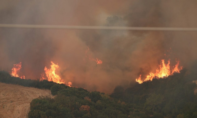 Φωτιά: Συνεχίζεται ο εφιάλτης στον Έβρο - Απειλούνται οικισμοί, φόβοι για πάνω από 700.000 καμένα