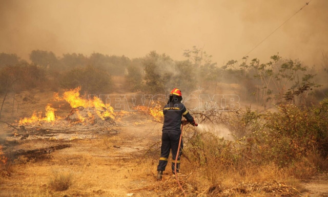 Φωτιά στην Αλεξανδρούπολη: Δίωξη κατά 13 μεταναστών για εμπρησμό