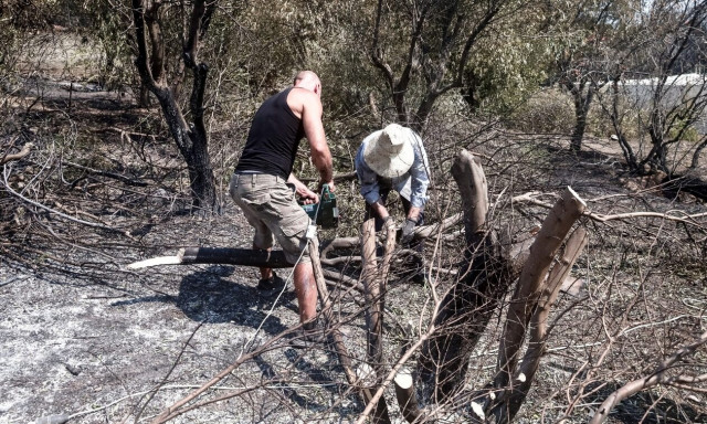 Δήμαρχος Φυλής για φωτιά στην Πάρνηθα: Αποτρέψαμε ανθρώπινες απώλειες