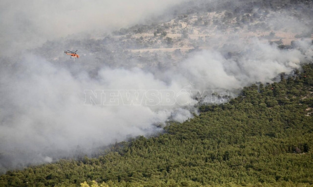 ΥΠΕΝ: Μετά την καταστολή των πυρκαγιών η συνολική αποτίμηση των καμένων εκτάσεων