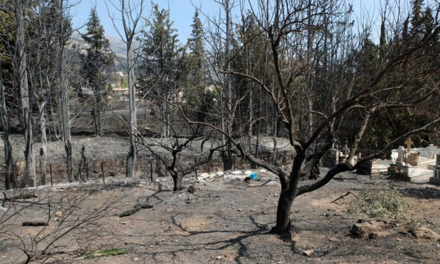 Meteo: Το παράδοξο της Ελλάδας - 52% λιγότερες μεγάλες δασικές πυρκαγιές και 195% αύξηση των καμένων