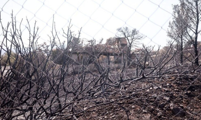 Φωτιά: Οι αναζοπυρώσεις απειλούν την Πάρνηθα - Δεκάδες συλλήψεις για εμπρησμούς