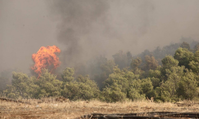 Φωτιά στη Βοιωτία: Καλύτερη εικόνα με διάσπαρτες όμως εστίες - Για τρίτη μέρα καίγεται η Υλίκη