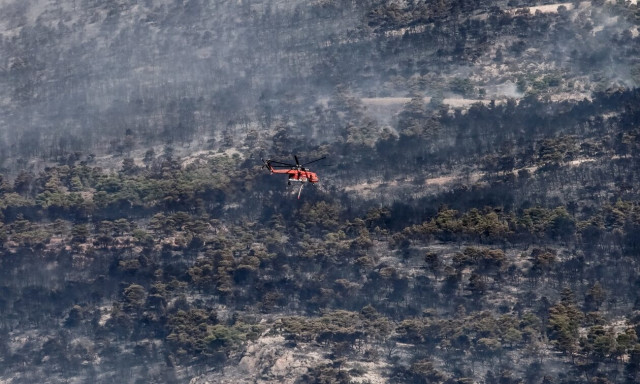 Φωτιά: «Ό,τι κάηκε πρέπει να δοθεί πίσω στην φύση»