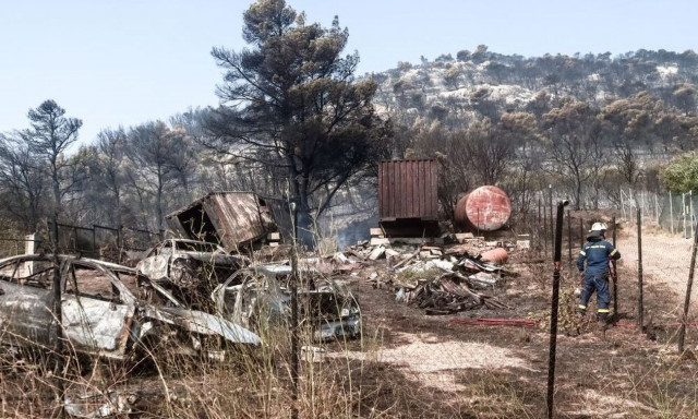 Πάρνηθα: Απόγνωση, τέφρα και δάκρυα - Η επόμενη ημέρα της μεγάλης καταστροφής