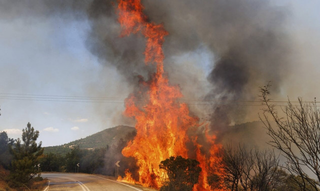 «Μου άρεσε να βλέπω τα πυροσβεστικά να σβήνουν τις φλόγες»: Τι ομολόγησε ο 20χρονος εμπρηστής
