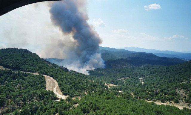 Πέτροβιτς: Επιπλέον ενίσχυση των δυνάμεων κατάσβεσης στη Δαδιά - Κρίσιμο το επόμενο 48ωρο