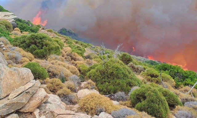 Φωτιά στην Άνδρο: Ενισχύονται οι δυνάμεις – Δύσκολη κατάσταση στο Βιτάλι