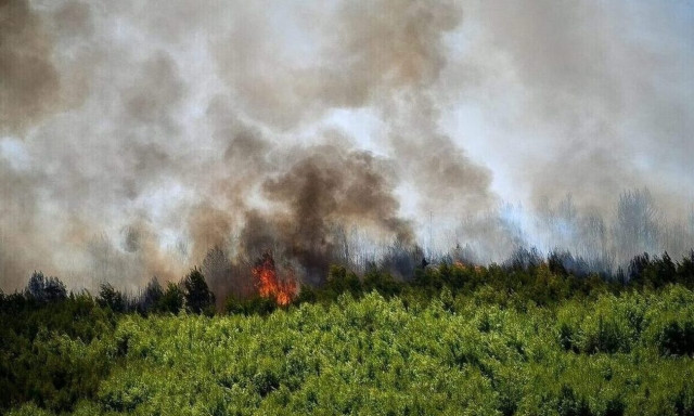 Ηλεία: Φωτιά στο Λάσδικα Αρχαίας Ολυμπίας