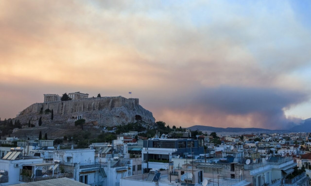 Γκάγκα: Λιγότερα δέντρα, σημαίνει χαμηλότερη ποιότητα αέρα που εισπνέουμε