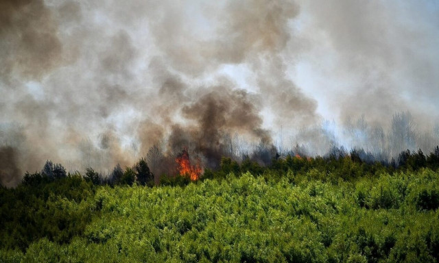 Μυτιλήνη: Γυναίκα συνελήφθη για πρόκληση πυρκαγιάς