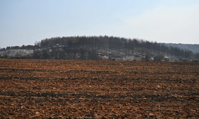 Φωτιά στον Έβρο: Έφτασε στην Αλεξανδρούπολη το κυβερνητικό κλιμάκιο - Μάχη στο δάσος της Δαδιάς