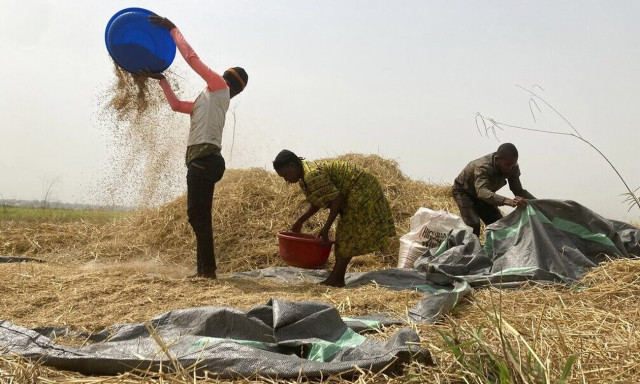 Το «Ελ Νίνιο» απειλεί να εκτοξεύσει τις τιμές των τροφίμων