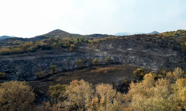 Έβρος: Μαίνονται τα μέτωπα σε Λεπτοκαρυιά και Κοτρωνιά