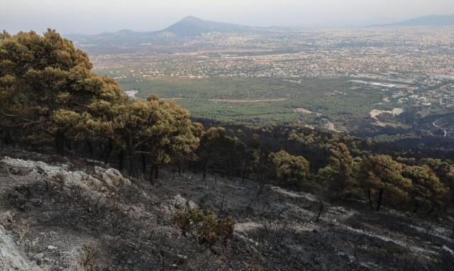 Battle with the flare-ups in Evros - Small outbreaks in Parnitha