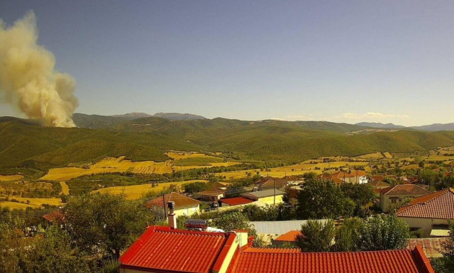 Λάρισα: Συναγερμός στην Πυροσβεστική για φωτιά σε δασική έκταση στη Σκοπιά Φαρσάλων