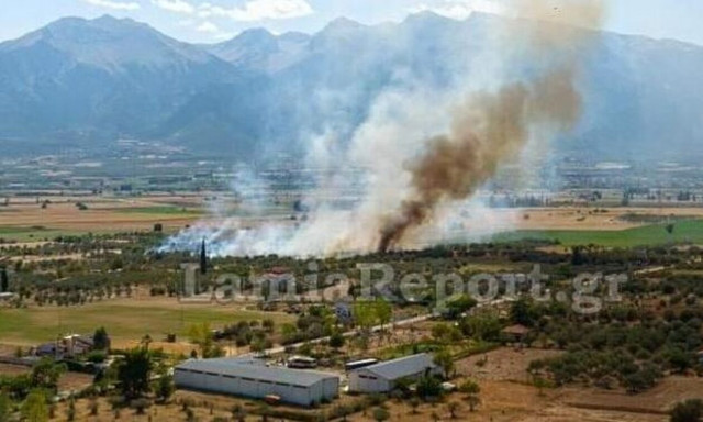 Πυροσβεστική: Συναγερμός για δύο πυρκαγιές σε Ελάτεια και Δομοκό