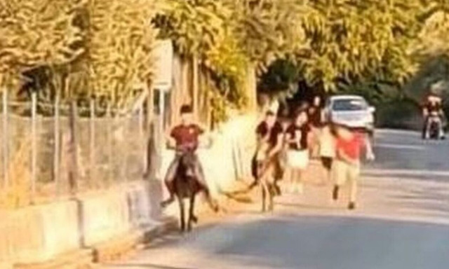 Μυτιλήνη: Παρέμβαση εισαγγελέα για τις γαϊδουροδρομίες