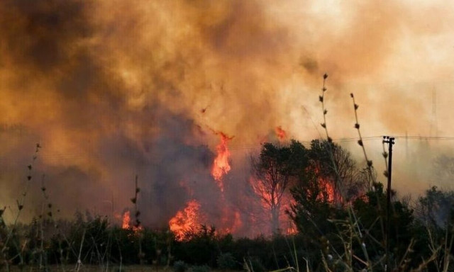 Firefighters battling flare-ups in Evros and Parnitha