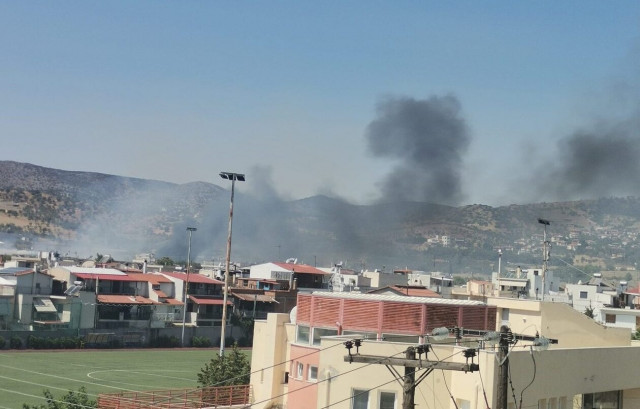 Φωτιά στη Μαγνησία: Μήνυμα του «112» για εκκένωση της περιοχής Άσπρες Πεταλούδες