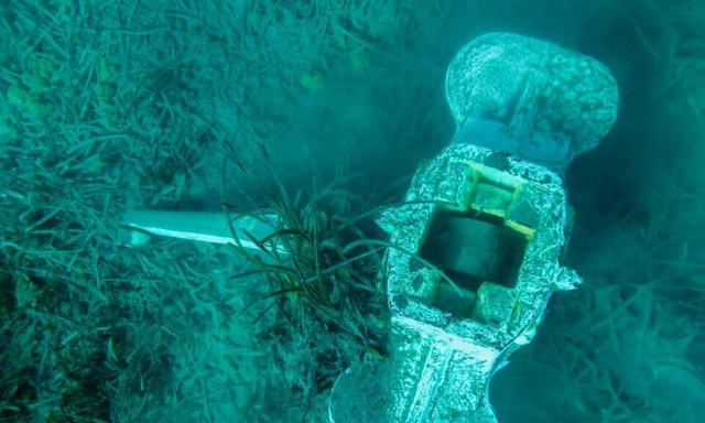 «Αρχιπέλαγος»: Σε τεράστιο κίνδυνο βρίσκονται και τα «θαλάσσια» δάση μας