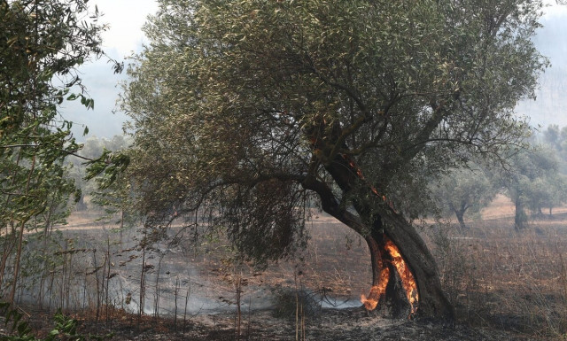 Έβρος Pass: Τι είναι το μέτρο που ανακοίνωσε ο Μητσοτάκης για τους πυρόπληκτους