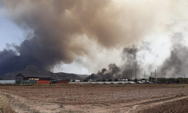 «Άβατο» των εμπρηστών ο Ασπρόπυργος: 1.690 προσαγωγές μέσα στον Αύγουστο