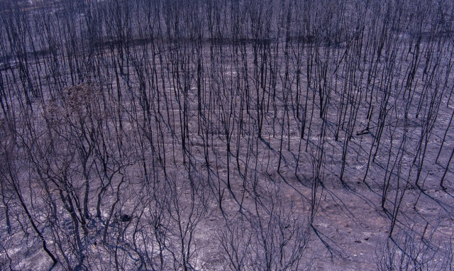 Έρχεται Έβρος pass - Το ανακοίνωσε στη Βουλή ο Κυριάκος Μητσοτάκης