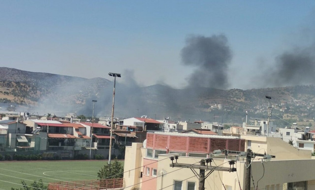 Φωτιά τώρα στη Μαγνησία - Μεγάλη επιχείρηση της Πυροσβεστικής