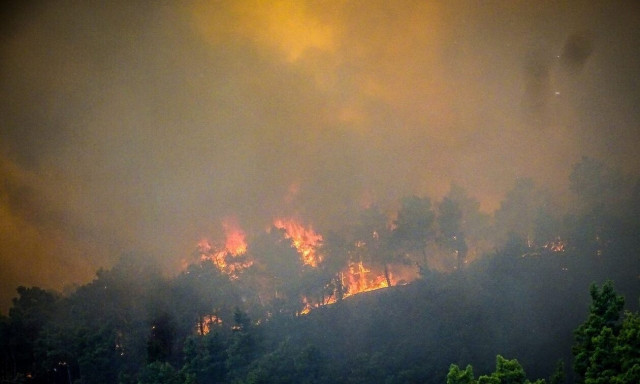 ΕΛΓΑ: Απαλλάσσονται από εκτιμητικά τέλη πυρόπληκτοι κτηνοτρόφοι