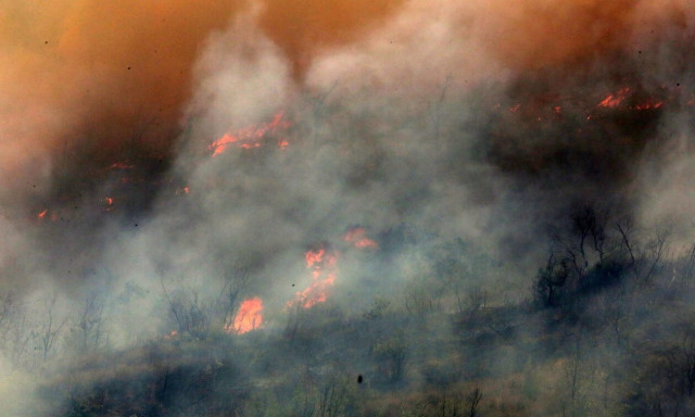 Φωτιά στο Δάσος της Δαδιάς: Σώθηκαν 25 παράτυποι μετανάστες