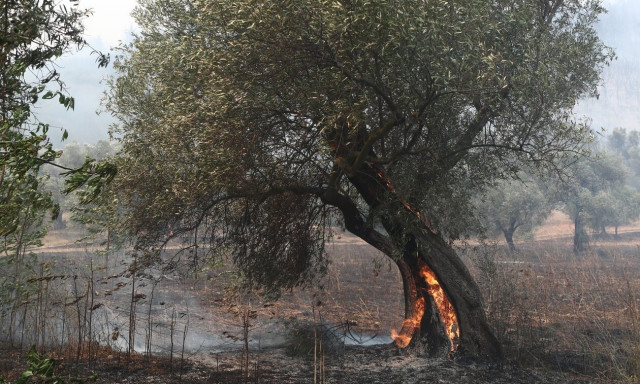 Έβρος: Προσωρινά κρατούμενοι οι τρεις για τις «συλλήψεις» 13 μεταναστών
