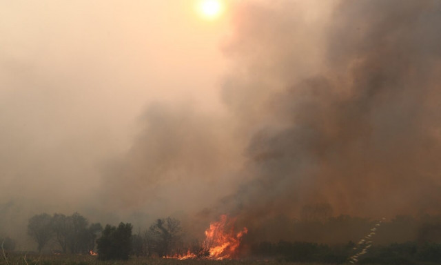 Meteo: Πάνω από 1.600.000 στρέμματα έχουν γίνει στάχτη - 270% αύξηση των καμένων εκτάσεων
