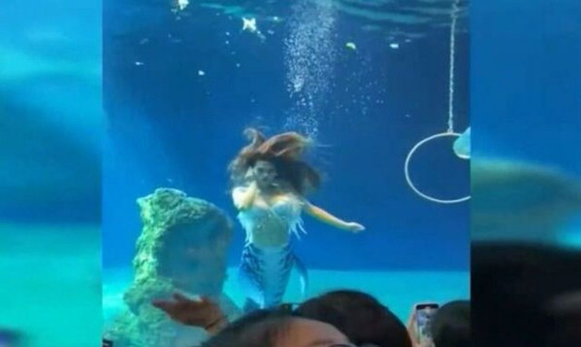 Καναδάς: Viral η «γοργόνα» του ενυδρείου – Εντυπωσιακό βίντεο από σόου