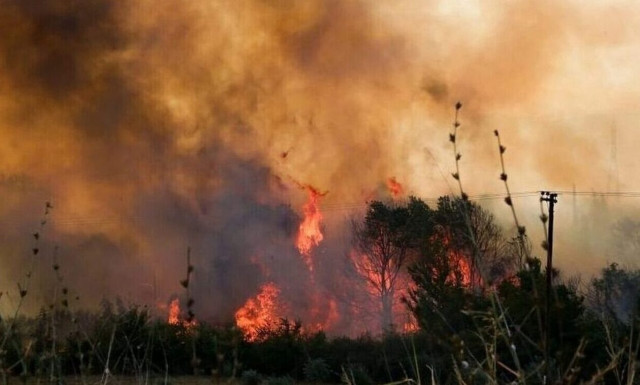 Firefighting forces continue to battle the fire in Evros